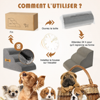 Rampe escalier mousse chien – Accès canapé & lit, 3 tailles